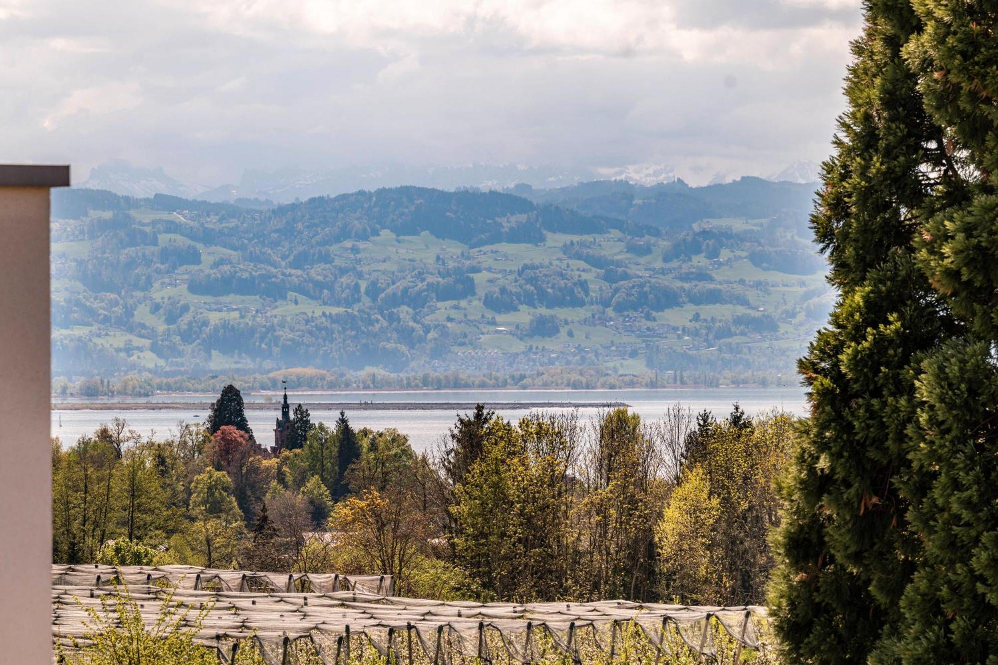 Ferienwohnungen Meyer Lindau  Buitenkant foto