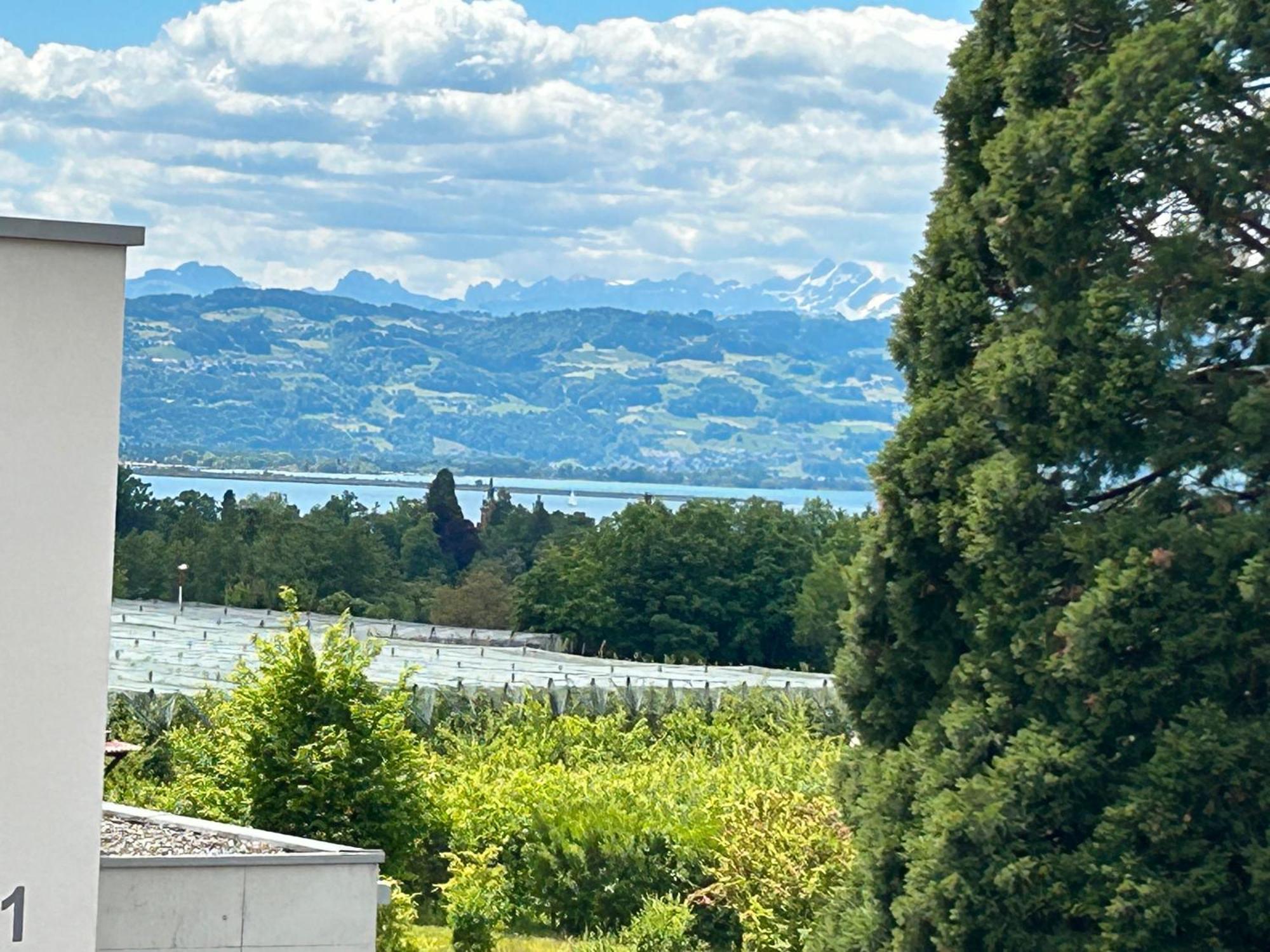 Ferienwohnungen Meyer Lindau  Buitenkant foto
